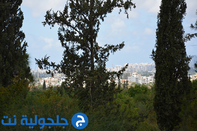 حراك نقف معا ينظم جولة في قرية خريش المهجرة 